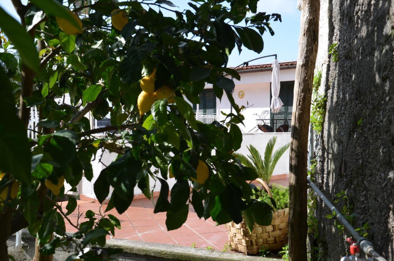 Villa Luciana Sant'Agnello Esterno foto